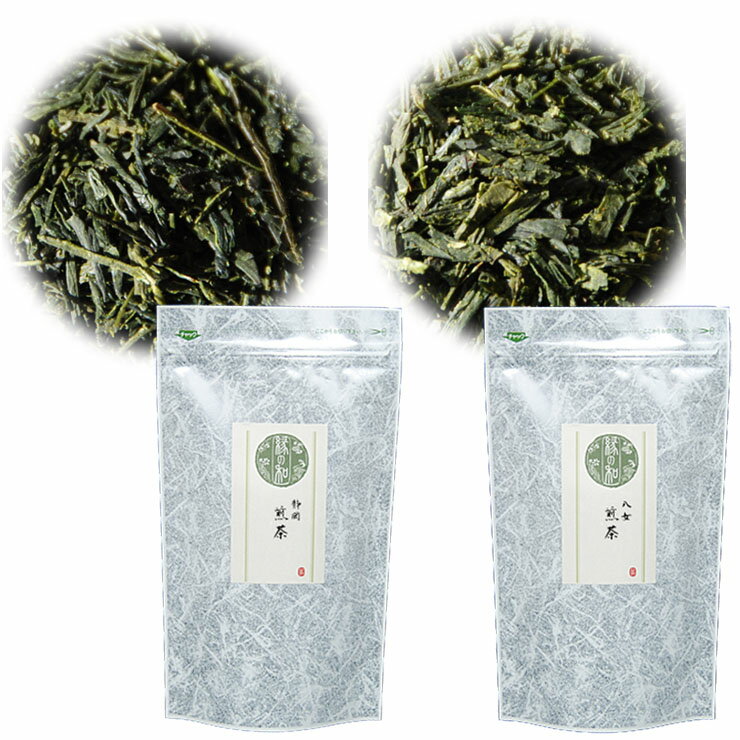 【ゆうメール便 送料無料】高村園 静岡煎茶 100g ＋ 八女煎茶 100g (200g)【日本茶 茶葉 緑茶 チャック付袋 静岡 福岡 地域ブランド 八女】