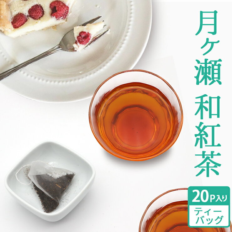 奈良 月ヶ瀬 和紅茶 ティーバッグ 3g×20P 国産 奈良県 大和茶 やまと茶 紅茶 日本茶 お茶 送料無料