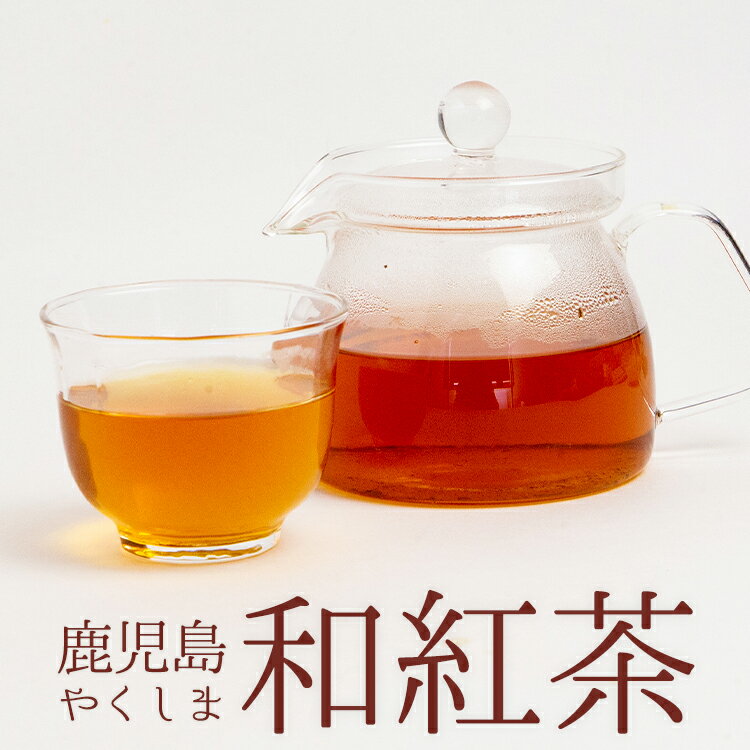 送料無料 屋久島 和紅茶 100g 茶葉 国産 鹿児島 メール便 送料無料 お茶