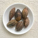 ミロバラン 100g ◆ 草木染染料(材料)植物・天然染料