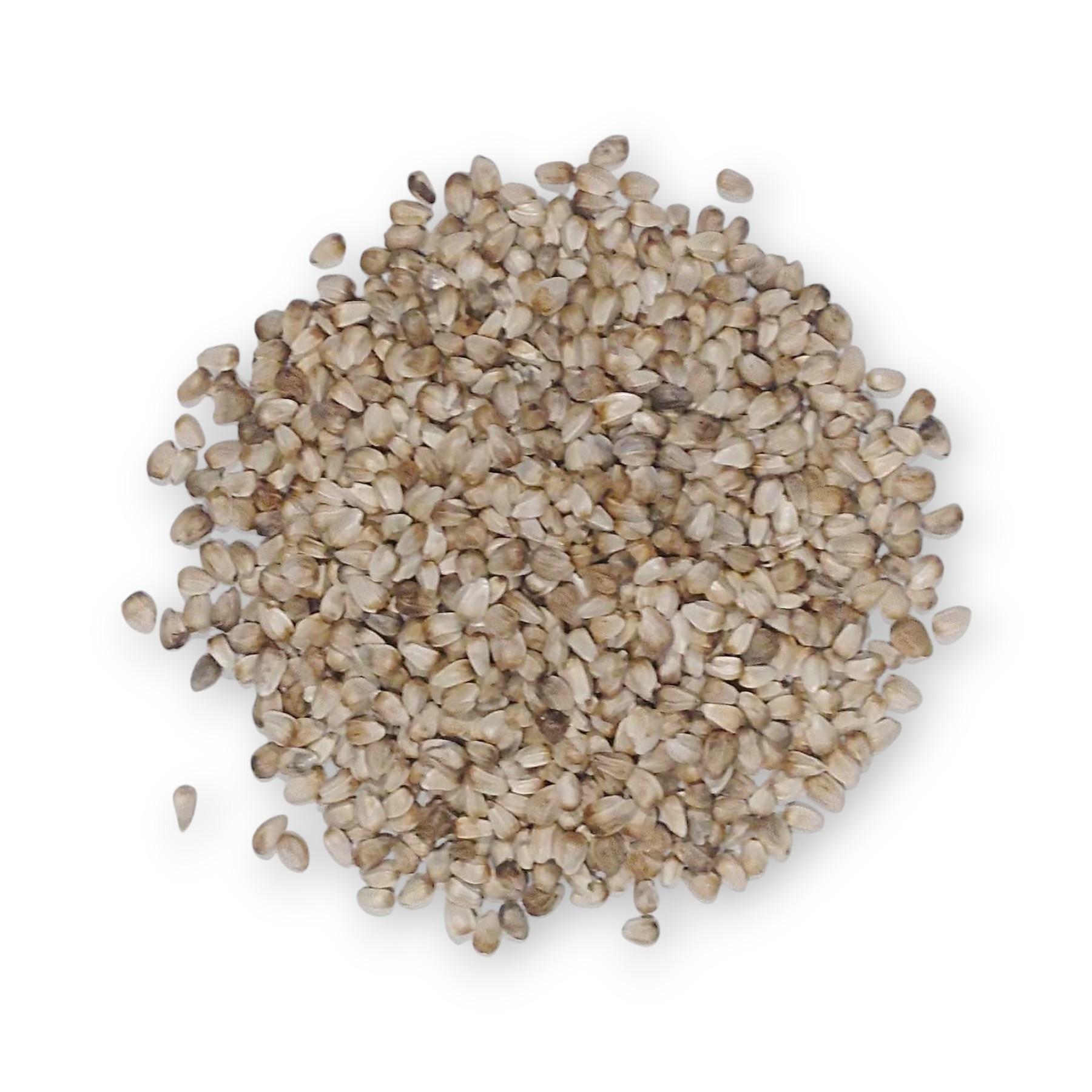 紅花（最上紅花）の種 50g ◆ 草木染（種苗）天然・草木染・染料植物...