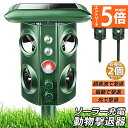 ★エントリーでP5倍 スーパーセール★猫除け 超音波 ソーラー 防水 2個セット ねこよけ 鳥よけ 犬よけ 猫避け 動物撃退器 USB充電 & ソーラー充電 L...