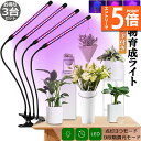●エントリーでP5倍 お買い物マラソン●植物育成ライト 植物育成ランプ LED植物育成灯 3個セット 室内栽培ランプ 3つ照明モード 9段階調光 観葉植物 4ヘ...