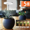 ●エントリーでP5倍 お買い物マラソン●LED植物育成ライト 植物育成ライト 鉢植えに差し込む 4段階調光 LED 植物ライト 植物育成ランプ 観葉植物用ライト...