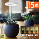 ●エントリーでP5倍 お買い物マラソン●LED植物育成ライト 植物育成ライト 鉢植えに差し込む 2点セット 4段階調光 LED 植物ライト 植物育成ランプ 観葉...