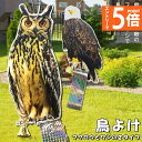 ●エントリーでP5倍 お買い物マラソン●鳥よけ 鳥よけフクロウ 鳥よけテープ 反射板 鳥よけグッズ 鳥対策 防鳥対策 鳥被害 鳥撃退 鳥の糞 カラス撃退 鳩撃退...