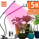 ●エントリーでP5倍 お買い物マラソン●植物育成ライト 植物育成ランプ LED植物育成灯 室内栽培ランプ 3つ照明モード 9段階調光 観葉植物 2ヘッド式ライト...