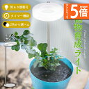 ●エントリーでP5倍 お買い物マラソン●植物育成ライト 3モード 10段階 調光 LED 植物ライト 植物育成ランプ 観葉植物用ライト 室内栽培ランプ スタンド...