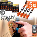 ★P5倍 マラソンセール★ラッシングベルト 荷締めベルト ラチェットベルト 12本セット 4.5m 幅2.5cm 荷締機 固定ベルト タイダウンベルト らっしんぐベルト 引越し 運搬用 トラック輸送 送料無料
