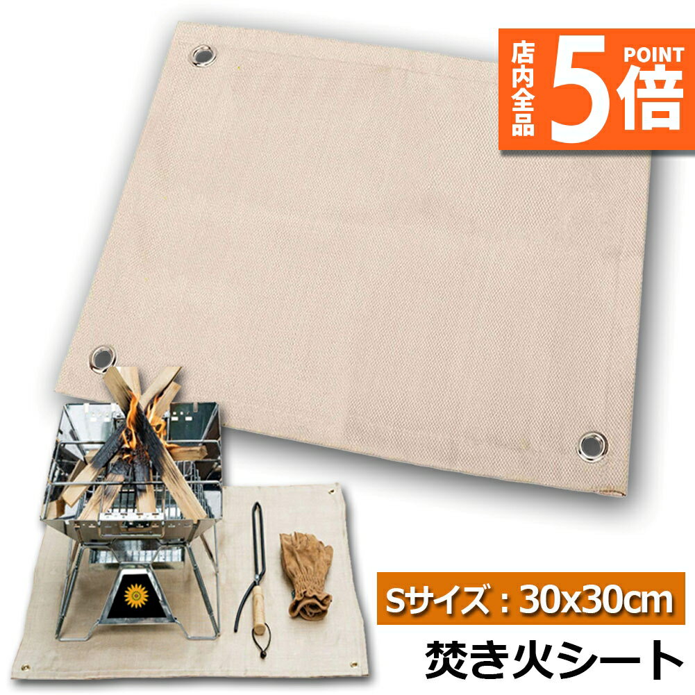 ָݥ5ܡ楷 ʲХ ɲХ ʲ楷 30x30cm Ѳ ɱ ѥå 饹 ݸ С٥塼...