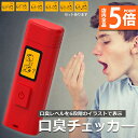 ★P5倍 スーパーセール★口臭チェッカー 口臭レベル測定 デジタルブレス コンパクト 6段階 携帯 ミニ 持ち歩き ポケット チェック 匂い ニンニク 料理 アルコール 説明書付き エチケット 口臭 ブレスチェッカー チェック 売れ筋 持ち