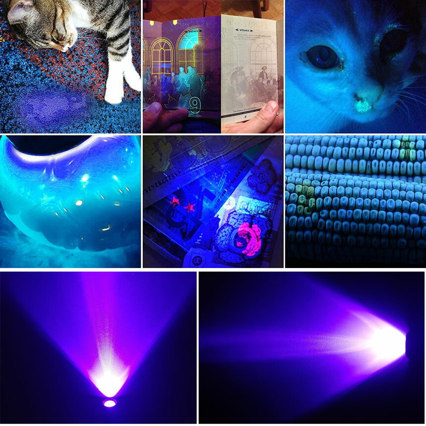 �������ѡ������롪�ݥ����5�ܡ��֥�å��饤�� �ߥ� ���� �糰���饤�� LED�饤�� 395nm UV�饤�� �ϥ�ǥ�UV�������� �ɿ� �쥸���ѹŲ��饤�� ����� �ڥåȤΥ����å� �����к� ����̵��