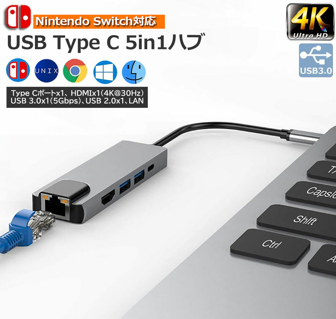 USB TypeC ハブ 5 in 1 Nintendo Switch対応 4K