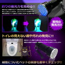 ブラックライト LED 2本セット 紫外線 ペンライト UVライト 21 灯 ネイルライト ハンディーライト UV 懐中電灯 ストラップ付き UV レジン 汚れ 釣り 蓄光力 絨毯 尿跡 アニサキスライト 3