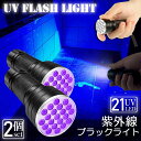 ブラックライト LED 2本セット 紫外線 ペンライト UVライト 21 灯 ネイルライト ハンディーライト UV 懐中電灯 ストラップ付き UV レジン 汚れ 釣り 蓄光力 絨毯 尿跡 アニサキスライト