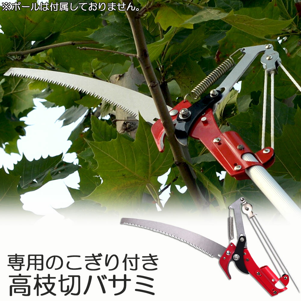 樂天商城 - 高枝切りバサミ ロープ式 高枝切りのこぎり 高枝ノコギリ 高枝切りバサミ 高枝切鋏 軽量 はさみ ガーデニング用品 剪定 果実 採取 枝切 ハサミ 園芸 ガーデニング用品