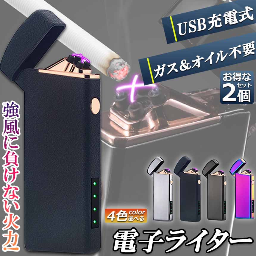 電子ライター プラズマ ライター usb ライター 2個セット 小型 充電式 ガスオイル不要 防風 軽量 薄型 点火用 プレゼント 電子ターボライター 防風 アーク スリム アウトドア バーベキューお墓参り 防災グッズ 送料無料
