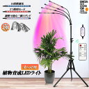 植物育成ライト LED植物育成灯 観葉植物 4ヘッド式ライト 2個セット 5v 10段階調光 自動ON/OFF 室内/水耕栽培ランプ タイマー付き 4灯360°...