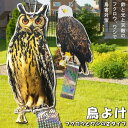 防鳥テープ 金銀 5巻入 SK215 ハナオカ [園芸用品 忌避商品 防鳥用品]