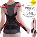 ★エントリーでP5倍 スーパーセール★背筋サポーター 骨盤からととのえる 骨盤サポーター サポーター 蒸れにくいメッシ 背筋 骨盤補整 ベルト 骨盤 肩甲骨 姿...