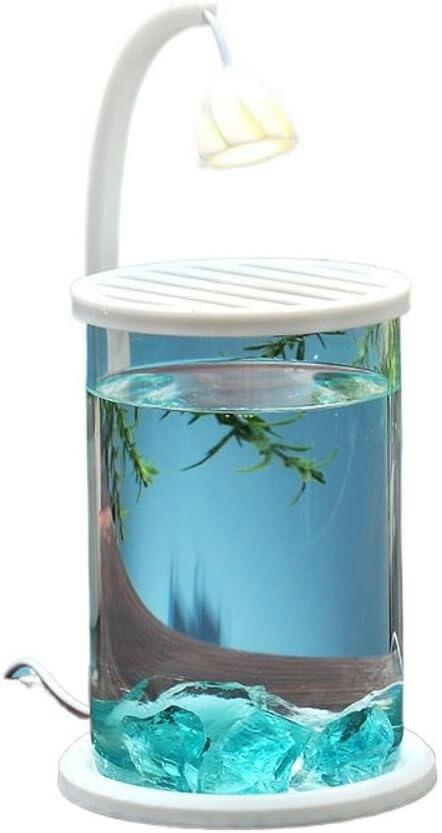 水槽セット 金魚鉢 金魚 飼育 アクアリウム 容器 透明 熱帯魚 メダカ 家庭用金魚鉢 おしゃれ 水族館 イ..