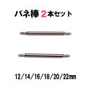 バネ棒 ばね棒 2本 セット ばね 腕時計 時計 ベルト 工具 交換 ウォッチ 12mm 14mm 16mm 18mm 20 mm 22mm 簡単 安い 時計 ...
