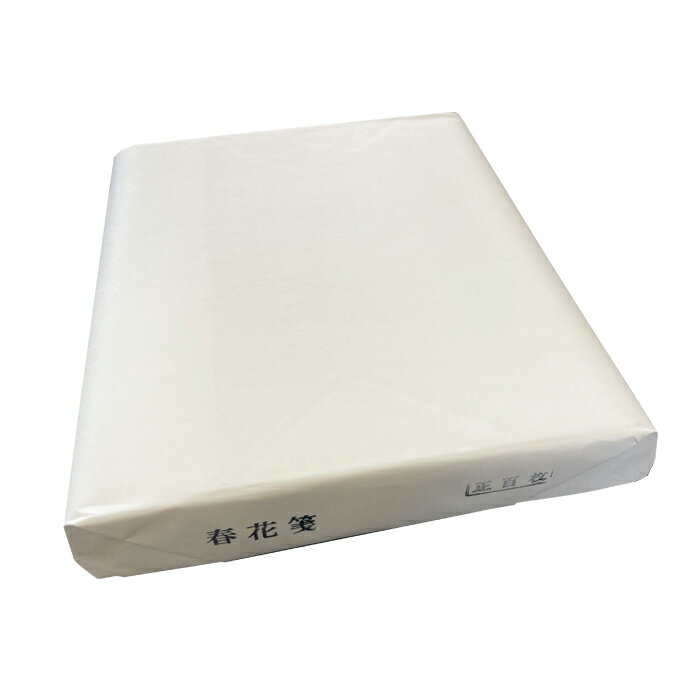 練習用におすすめな半切　春花箋（半切）　【100枚入】【書道 画仙紙 半切 漢字用 書 習字 筆庵 Hituan..