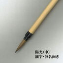 陽光(中) 【 細筆 面相 】【 送料無料 ゆうパケット 書 習字 筆庵 Hituan 】
