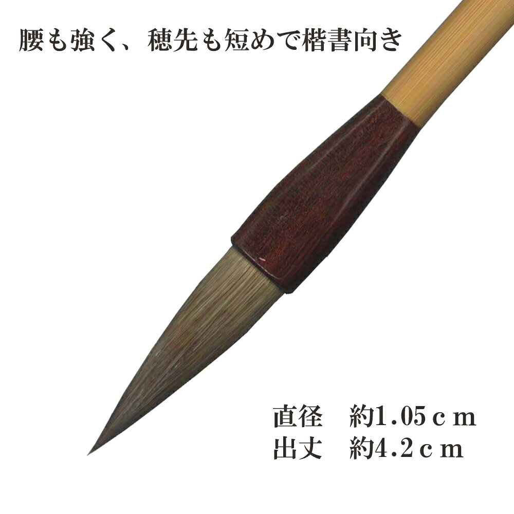 竹　【剛毫・楷書用・学童用】　10本セット【書道 太筆 楷書 送料無料 ネコポス 】 2