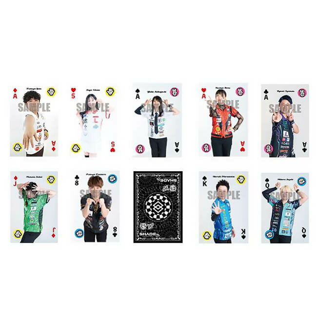 SHADE(シェイド) プレイヤートレーディングカードゲーム2024　(ダーツ アクセサリ)