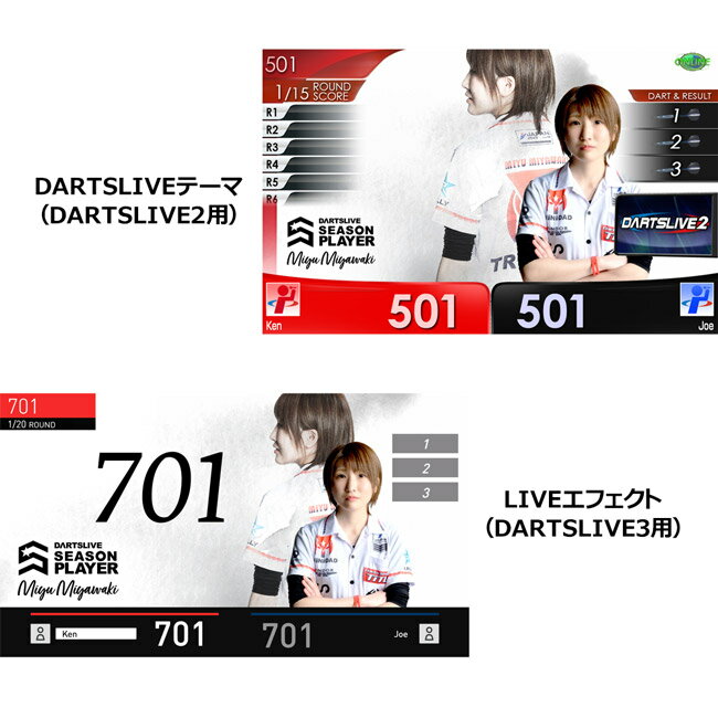 DARTSLIVE PLAYER GOODS 宮脇実由選手セット　(ダーツ カード)