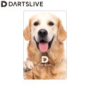 DARTSLIVE CARD #053 ＜06＞　(ダーツカード)