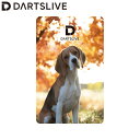 DARTSLIVE CARD #055 <06> (ダーツ カード)