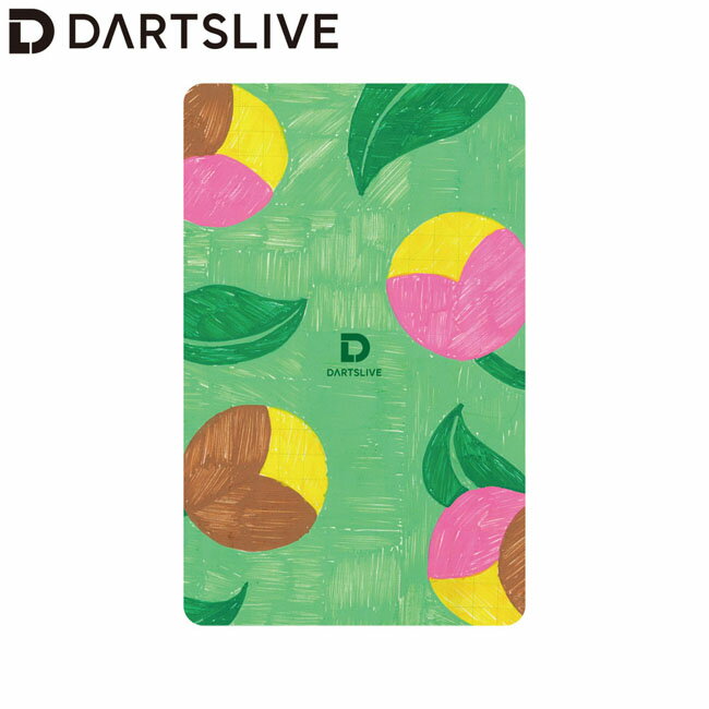 DARTSLIVE CARD #056 ＜17＞ (ダーツ カード)
