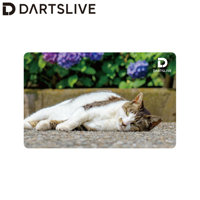 乐天商城 - DARTSLIVE CARD #060 ＜07＞　(ダーツ カード)