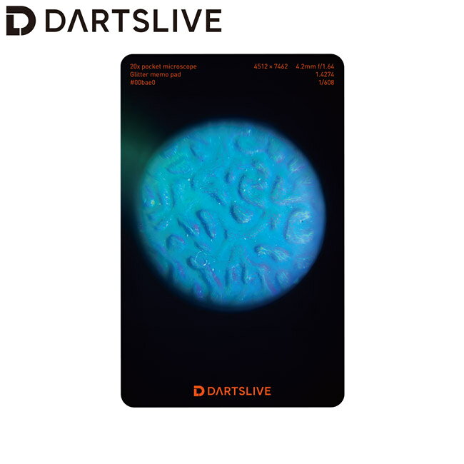 DARTSLIVE CARD #061 ＜09＞　(ダーツ カード)