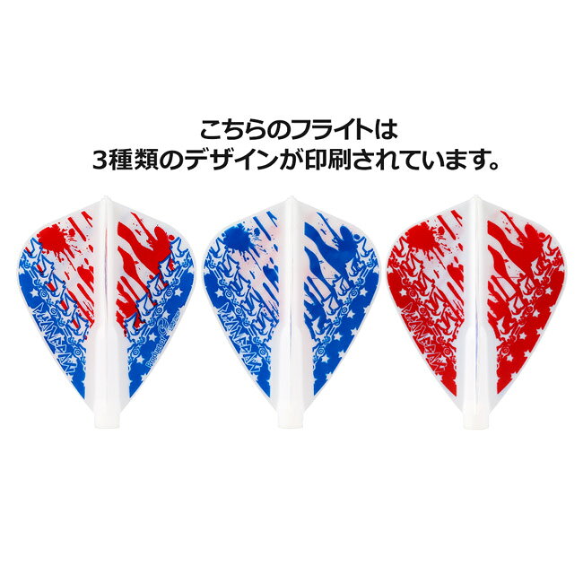 DARTS SHOP Hive (ダーツ ハイブ)のCOSMO DARTS(コスモダーツ) Fit Flight(フィットフライト) × Joseph Chaney ver.2 カイト ホワイト ジョセフ・チェイニー選手モデル　(ダーツ フライト)｜アングル3