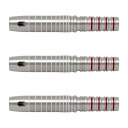 TARGET JAPAN(ターゲットジャパン) CHARIS 80(カリス エイトゼロ) 2BA <210159> キャシー・リョン選手モデル (ダーツ バレル...