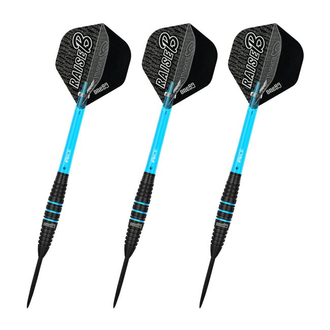 One80(ワンエイティ) Raise Bシリーズ AQ STEEL 21g　(ダーツ バレル ダーツセット...