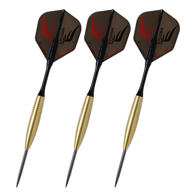 COSMO DARTS(コスモダーツ) DISCOVERY LABEL(ディスカバリーレーベル) Andrew Gilding STEEL 24g アンドリュー・ギルディング選手モデル　(ダーツ バレル ダーツセット タングステン ハードダーツ ダーツ シャフト ダーツ フライト ダーツ 矢 羽 darts barrel darts set) 2