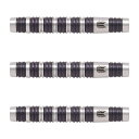 TARGET(ターゲット) DIMITRI VAN DEN BERGH 80 G1 2BA 20g <210305> ディミトリ・ヴァン・デン・バーグ選手モデル...