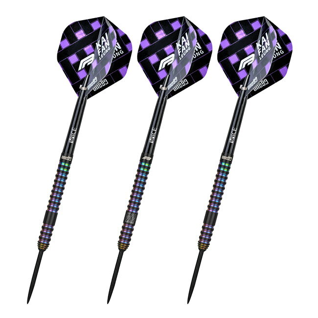 One80(ワンエイティ) FB Leung ver.2 STEEL 23g FBリョン選手モデル　(ダーツ バレル ダーツセット ストレートバレル タングステン ハードダーツ ダーツ シャフト ダーツ フライト ダーツ 矢 羽 darts barrel darts set) 2