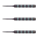 TARGET(ターゲット) ROB CROSS BLACK EDITION SWISS POINT STEEL 22g <190209> ロブ・クロス選手モデル...
