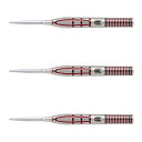 TARGET(ターゲット) NATHAN ASPINALL G2 SWISS POINT STEEL 22g <190254> ネイサン・アスピナル選手モデル ...