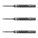 TARGET(ターゲット) DIMITRI VAN DEN BERGH ECHO SWISS POINT STEEL 23g <190285> ディミトリ・ヴァ...