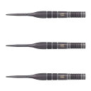 TARGET(ターゲット) NATHAN ASPINALL×ECHO SWISS POINT STEEL 22g <190289> ネイサン・アスピナル選手モデ...