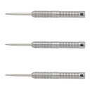 TARGET JAPAN(ターゲットジャパン) CRUX HONOR(クラックス オナー) SWISS POINT STEEL 23g <190511> (ダーツ バレル ダーツセット)