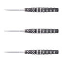TARGET JAPAN(ターゲットジャパン) THE LEGEND G8(ザ・レジェンド) SWISS POINT STEEL 24g <190527> ポー...