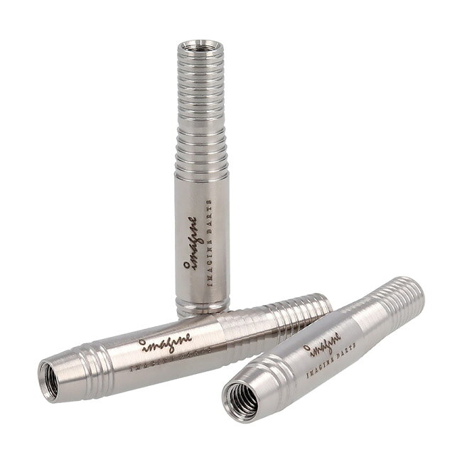DARTS SHOP Hive (ダーツ ハイブ)のImagine Darts(イマジンダーツ) PROTECTORシリーズ Lion(ライオン) 2BA (ダーツ バレル タングステン ダーツセット ダーツ シャフト ダーツ チップ ダーツ フライト ダーツ 矢 羽 darts barrel darts set)｜アングル3