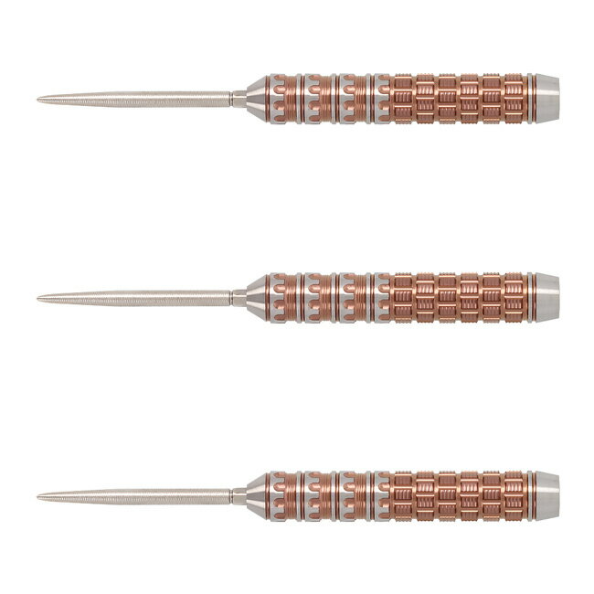 TARGET JAPAN(ターゲットジャパン) RAPTOR G6(ラプター ジェネレーション6) SWISS POINT STEEL 24g ＜190594＞ 西谷譲二選手モデル (ダーツ バレル ストレートバレル タングステン ハードダーツ ダーツセット K-FLEX ダーツ 矢 羽 darts barrel darts set)